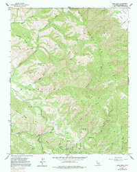 Download a high-resolution, GPS-compatible USGS topo map for Rana Creek, CA (1991 edition)