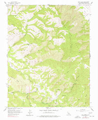 Download a high-resolution, GPS-compatible USGS topo map for Rana Creek, CA (1977 edition)
