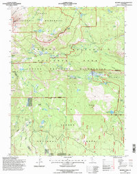 Download a high-resolution, GPS-compatible USGS topo map for Reading Peak, CA (1998 edition)