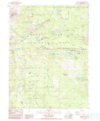 Download a high-resolution, GPS-compatible USGS topo map for Reading Peak, CA (1985 edition)