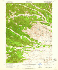 Download a high-resolution, GPS-compatible USGS topo map for Red Bluff West, CA (1959 edition)