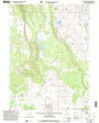Download a high-resolution, GPS-compatible USGS topo map for Red Rock Lakes, CA (2004 edition)