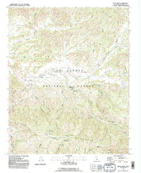 Download a high-resolution, GPS-compatible USGS topo map for Reyes Peak, CA (1991 edition)