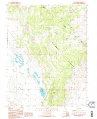 Download a high-resolution, GPS-compatible USGS topo map for River Spring, CA (1986 edition)