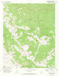 Download a high-resolution, GPS-compatible USGS topo map for Rock Spring Peak, CA (1973 edition)