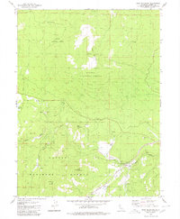 Download a high-resolution, GPS-compatible USGS topo map for Roop Mountain, CA (1980 edition)