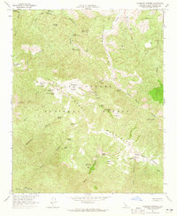 Download a high-resolution, GPS-compatible USGS topo map for Salisbury Potrero, CA (1965 edition)