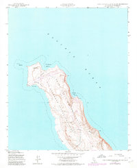 Download a high-resolution, GPS-compatible USGS topo map for San Clemente Island North, CA (1980 edition)
