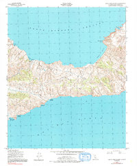 Download a high-resolution, GPS-compatible USGS topo map for Santa Cruz Island C, CA (1991 edition)