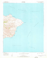 Download a high-resolution, GPS-compatible USGS topo map for Santa Cruz Island D, CA (1971 edition)