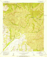 Download a high-resolution, GPS-compatible USGS topo map for Santiago Peak, CA (1955 edition)