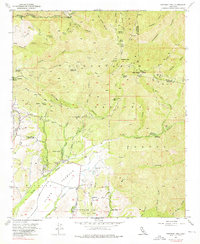 Download a high-resolution, GPS-compatible USGS topo map for Santiago Peak, CA (1976 edition)