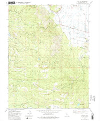 Download a high-resolution, GPS-compatible USGS topo map for Sattley, CA (1982 edition)