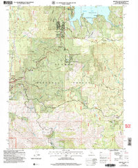 Download a high-resolution, GPS-compatible USGS topo map for Shaver Lake, CA (2007 edition)