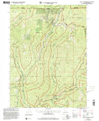 Download a high-resolution, GPS-compatible USGS topo map for Shelly Creek Ridge, CA (2001 edition)