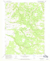 Download a high-resolution, GPS-compatible USGS topo map for Shields Creek, CA (1971 edition)