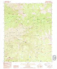 Download a high-resolution, GPS-compatible USGS topo map for Silver City, CA (1995 edition)