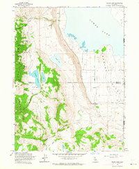 Download a high-resolution, GPS-compatible USGS topo map for Snake Lake, CA (1964 edition)