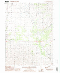 Download a high-resolution, GPS-compatible USGS topo map for Snowstorm Mountain, CA (1989 edition)