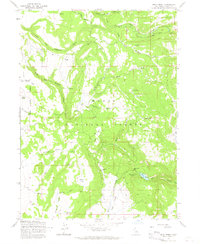 Download a high-resolution, GPS-compatible USGS topo map for Soup Creek, CA (1965 edition)