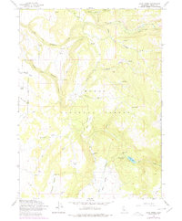 Download a high-resolution, GPS-compatible USGS topo map for Soup Creek, CA (1978 edition)