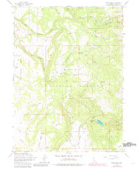 Download a high-resolution, GPS-compatible USGS topo map for Soup Creek, CA (1983 edition)