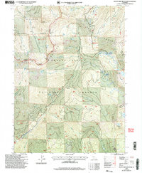 Download a high-resolution, GPS-compatible USGS topo map for South China Mountain, CA (2003 edition)