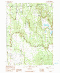 Download a high-resolution, GPS-compatible USGS topo map for Steele Swamp, CA (1990 edition)