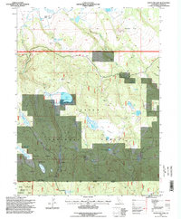 Download a high-resolution, GPS-compatible USGS topo map for Straylor Lake, CA (1998 edition)
