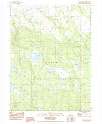 Download a high-resolution, GPS-compatible USGS topo map for Straylor Lake, CA (1983 edition)