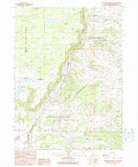Download a high-resolution, GPS-compatible USGS topo map for Surprise Station, CA (1990 edition)