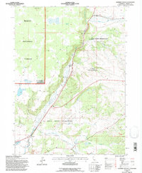 Download a high-resolution, GPS-compatible USGS topo map for Surprise Station, CA (1995 edition)