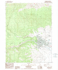 Download a high-resolution, GPS-compatible USGS topo map for Susanville, CA (1989 edition)