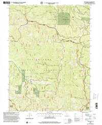 Download a high-resolution, GPS-compatible USGS topo map for Swim Ridge, CA (2001 edition)