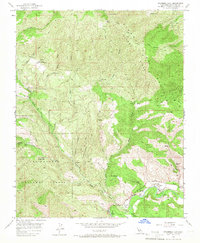 Download a high-resolution, GPS-compatible USGS topo map for Sycamore Flat, CA (1966 edition)
