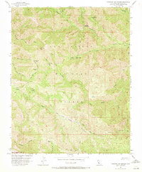 Download a high-resolution, GPS-compatible USGS topo map for Tassajara Hot Springs, CA (1972 edition)