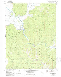 Download a high-resolution, GPS-compatible USGS topo map for Taylorsville, CA (1985 edition)