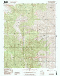 Download a high-resolution, GPS-compatible USGS topo map for Telescope Peak, CA (2002 edition)