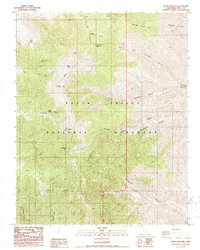 Download a high-resolution, GPS-compatible USGS topo map for Telescope Peak, CA (1988 edition)