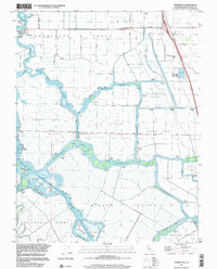 Download a high-resolution, GPS-compatible USGS topo map for Terminous, CA (2002 edition)