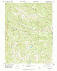 Download a high-resolution, GPS-compatible USGS topo map for Tombs Creek, CA (1978 edition)