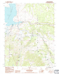 Download a high-resolution, GPS-compatible USGS topo map for Toms Place, CA (1990 edition)