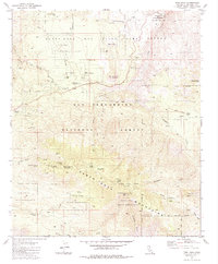 Download a high-resolution, GPS-compatible USGS topo map for Toro Peak, CA (1984 edition)