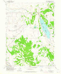 Download a high-resolution, GPS-compatible USGS topo map for Tule Mountain, CA (1964 edition)