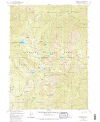 Download a high-resolution, GPS-compatible USGS topo map for Ukonom Lake, CA (1981 edition)