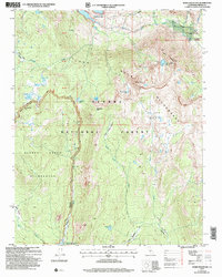 Download a high-resolution, GPS-compatible USGS topo map for Ward Mountain, CA (2007 edition)