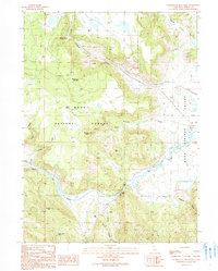 Download a high-resolution, GPS-compatible USGS topo map for Washington Mountain, CA (1990 edition)
