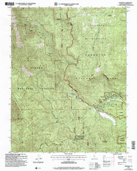 Download a high-resolution, GPS-compatible USGS topo map for Wawona, CA (2007 edition)