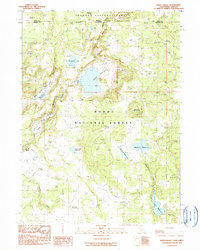 Download a high-resolution, GPS-compatible USGS topo map for Weed Valley, CA (1990 edition)