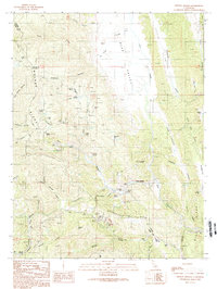 Download a high-resolution, GPS-compatible USGS topo map for Wilbur Springs, CA (1989 edition)